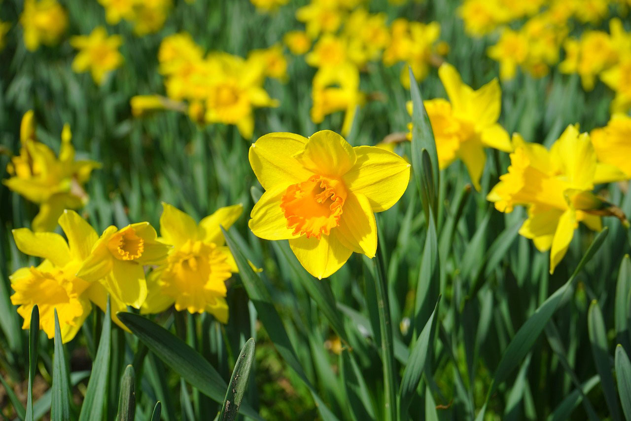 ostern